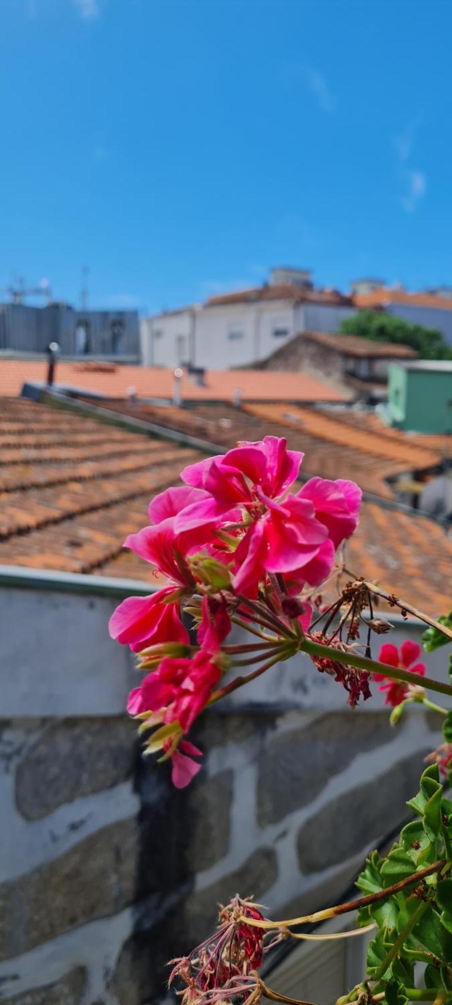Apartament Kirashouse Porto Zewnętrze zdjęcie